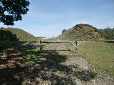 Brüggen : Brachter Wald, im Hintergrund sind die ehemaligen Splitterschutzwälle zu sehen